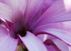 _MG_7097.jpg